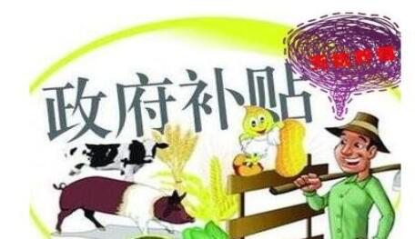 怎样才能领取大学生创业补贴 怎样才能领取大学生创业补贴