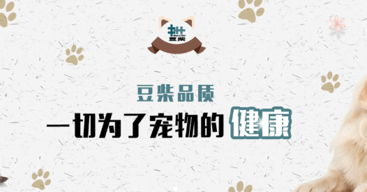 宠物咨询.png 宠物咨询.png
