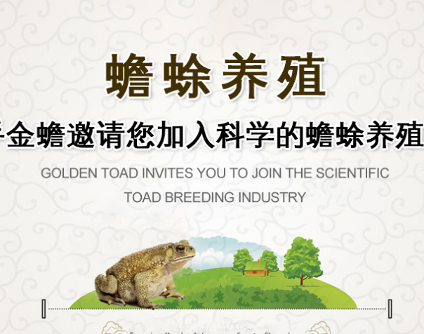 蟾蜍皮.png 蟾蜍皮.png